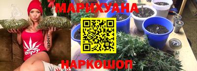 твердый Бердск