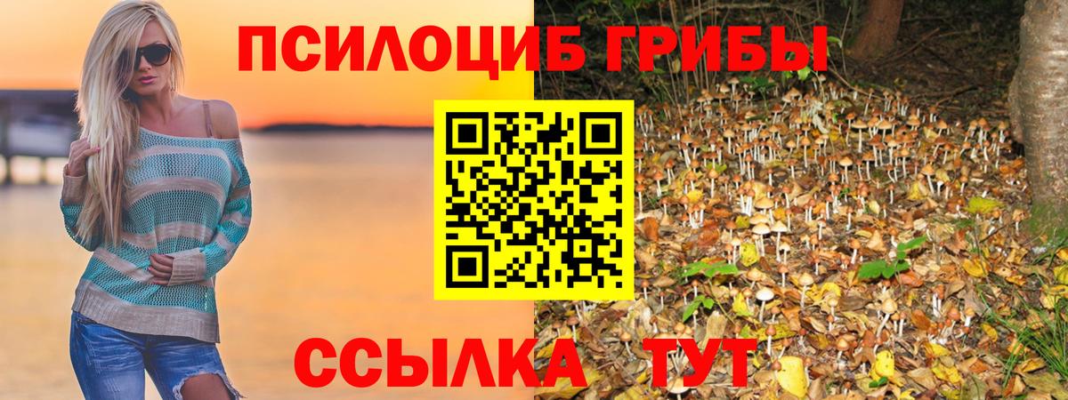 Галлюциногенные грибы ЛСД  Галлюциногенные грибы GOLDEN TEACHER  Грозный  Вход с VPN 